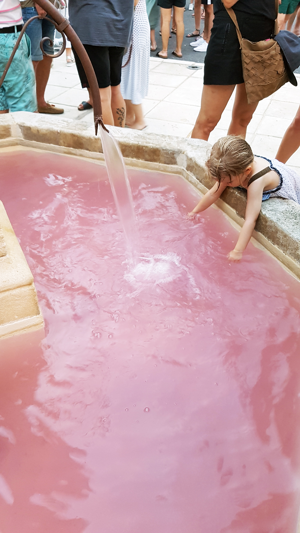 Le succès du premier Rosé Day à Pierrevert - AMPELO - Vins de Haute ...