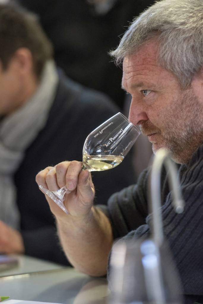 dégustation vin blanc odeur